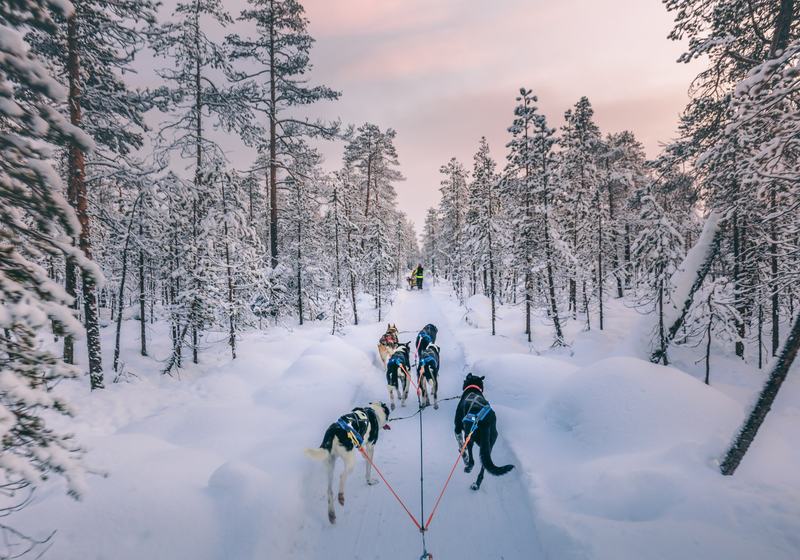 Laponia Plus · Rovaniemi (enero-marzo) · foto 1