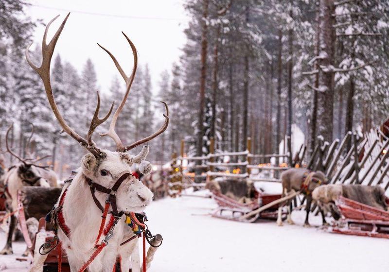 Laponia · Pre-Puente en Ylläs · foto 1