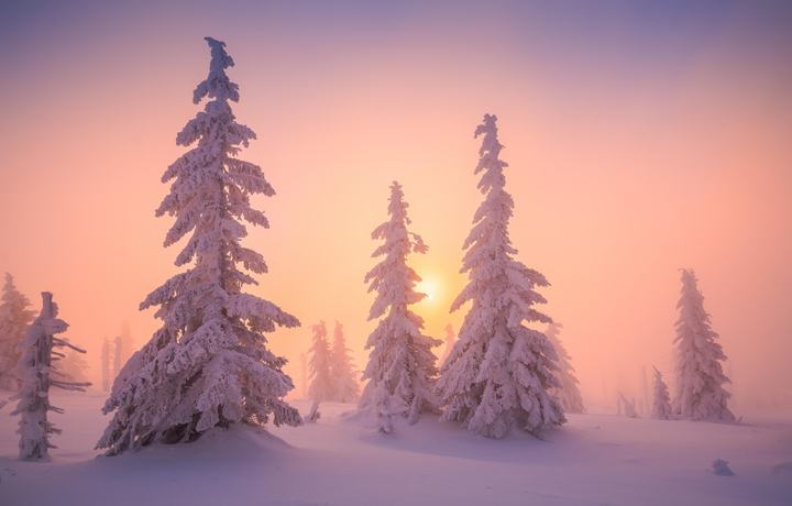 Puente de Diciembre en Ruka · Cabañas Family Premium