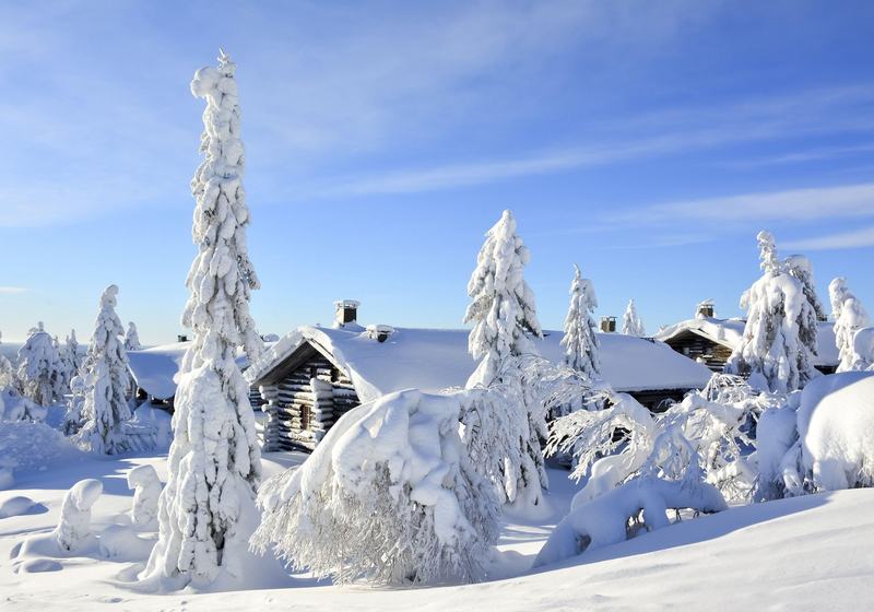 Puente de Diciembre en Ruka · Cabañas Family Premium · foto 1