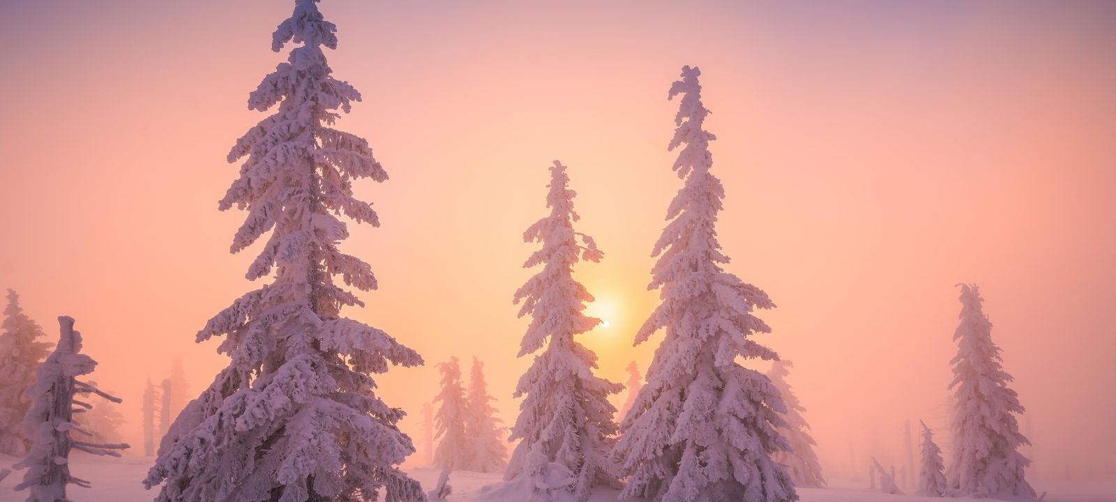 Puente de Diciembre en Ruka · Cabañas Family Premium · Ruka, Kuusamo, Vuotunki